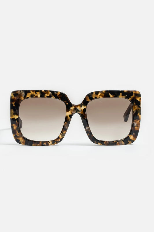 Sutton Sunglasses Tortoise