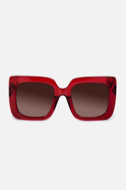 Sutton Sunglasses Solid
