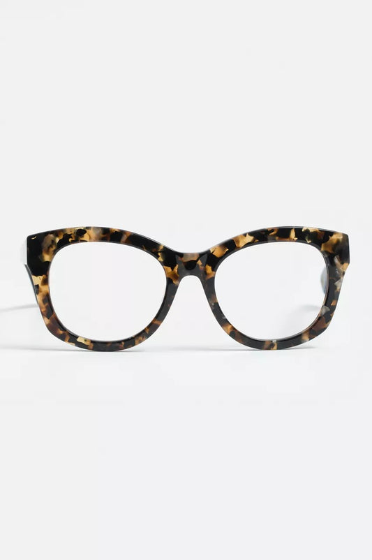 Florence Readers Tortoise